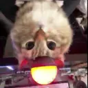 Аватар darkvynx