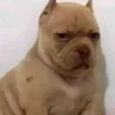 angel___001111 avatar