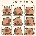 stefabo_bb0103_48731 avatar