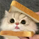 purrrr_meme