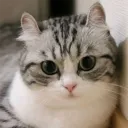 Аватар arseney01212