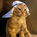 vexstress avatar