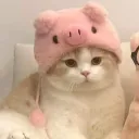 pigmeup_