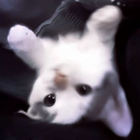 avatar 𝓬𝓱𝓲𝓵_𝒄𝒂𝒕