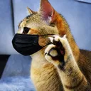 8bitdev_gaming_34453