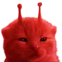 buckyjgfm5