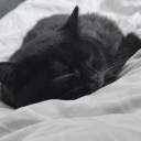 avatar 2-3JahreDagestan