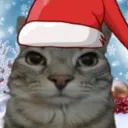 ancientmango12