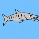 barracudatz