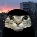 avatar 𝓝𝓮𝓹𝓽𝓲𝓵𝓲𝓪𝓷