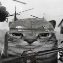 avatar 𝓝𝓮𝓹𝓽𝓲𝓵𝓲𝓪𝓷