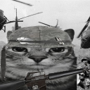 avatar 𝓝𝓮𝓹𝓽𝓲𝓵𝓲𝓪𝓷