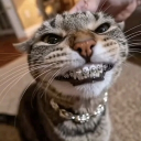 avatar 𝓝𝓮𝓹𝔂