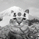 avatar 𝓝𝓮𝓹𝓽𝓲𝓵𝓲𝓪𝓷