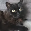 mrloro03