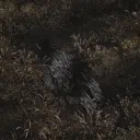 _aetheronx_