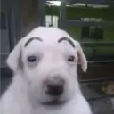 irlll7