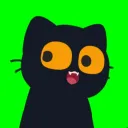 thecatmaro