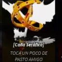 zad_volviod avatar