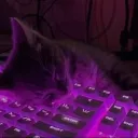 apkmethodlearner