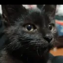 papayita206._13426 avatar