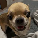 super_byllva