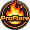 professionalflare