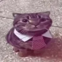 kwiatowykoarcha_ avatar