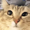 lilnugget420699