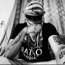 sivorealll