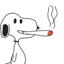 consumingcats avatar