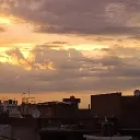 animbugod
