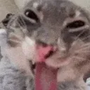 norbertstu0626