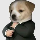 nkx_1