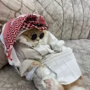qwurkyty