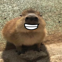 kamiinari.