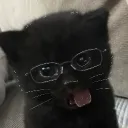 imran.ly