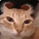 pykboss123