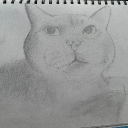 avatar Misanthropia shamia