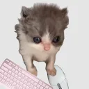 fluffychill