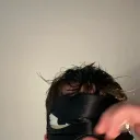 tomytom2