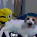 krima1292a_99622 avatar