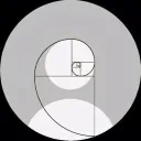.qvet avatar