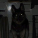 avatar ♡ ~ KᗩIᒪᗩᑎI ~ ♡