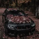 ed3ard1234_29039 avatar