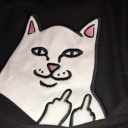 avatar 𝒟𝒩ℬ_ℬℴℬℴ