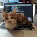 gust.py_