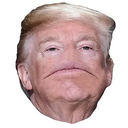 Chat with Donald Trump | Shapes, Inc