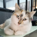 avatar 👾kessy👾