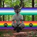 loupytb_